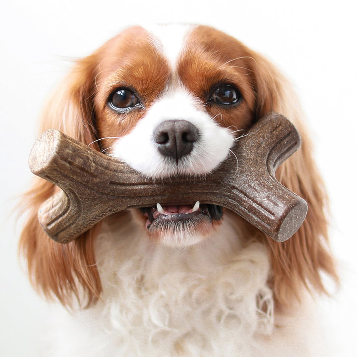 Benebone Bacon Stick Dental Chew Dog Toy-Dog Toys - Durable-Benebone-