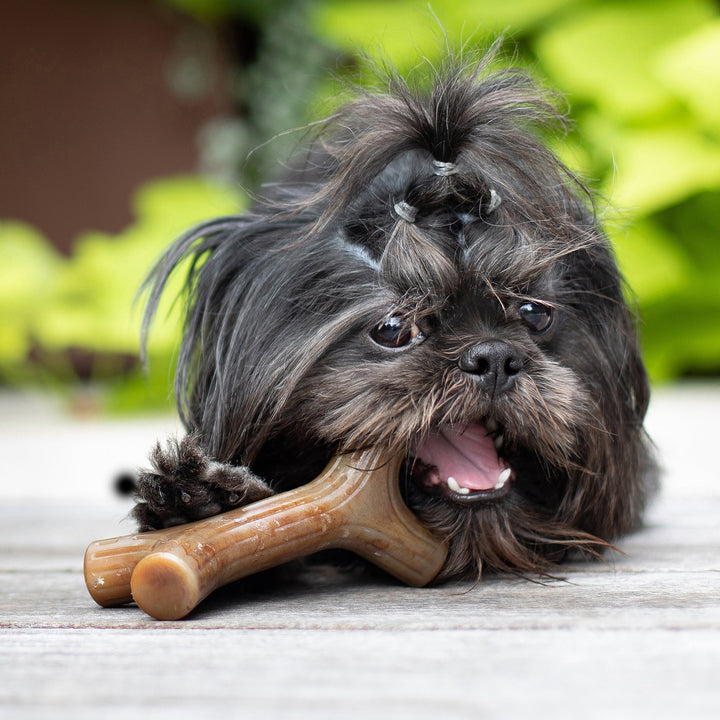 Benebone Bacon Stick Dental Chew Dog Toy-Dog Toys - Durable-Benebone-