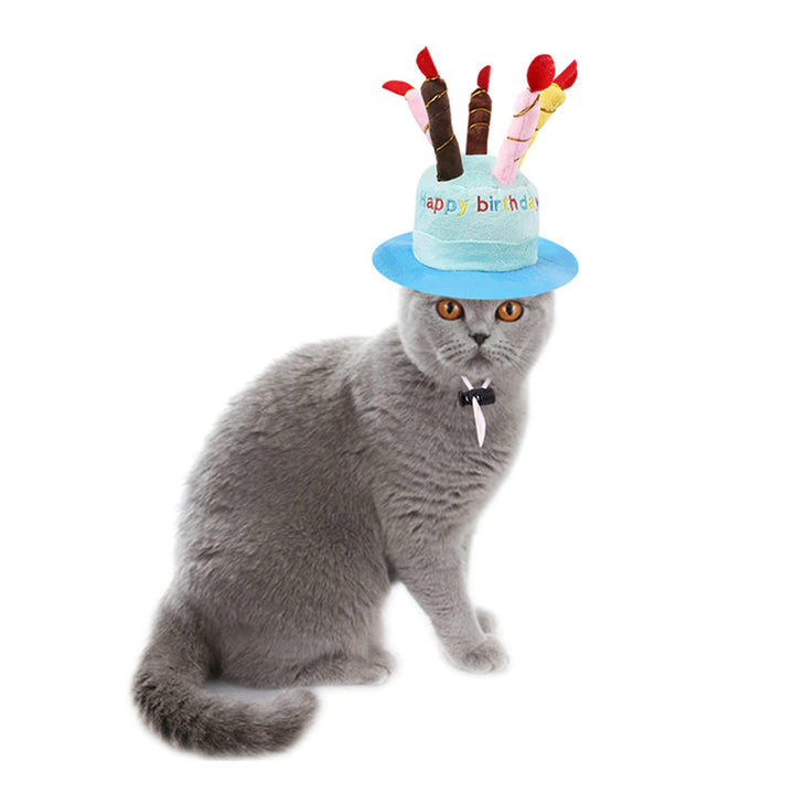 Muddy Paw Friends Pet Happy Birthday Cake Plush Party Hat-Plush Toys-Muddy Paw Shop-