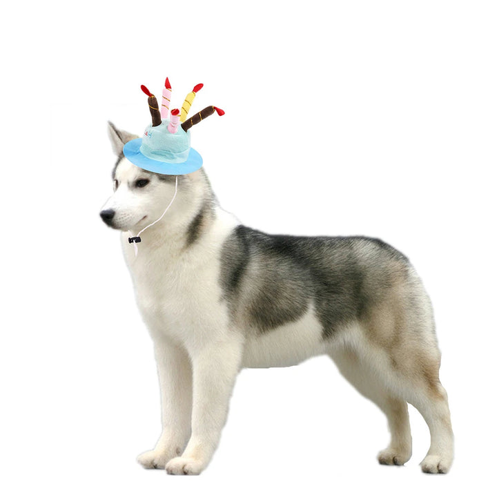 Muddy Paw Friends Pet Happy Birthday Cake Plush Party Hat-Plush Toys-Muddy Paw Shop-
