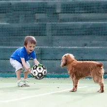 Muddy Paw Friends Interactive Soccer Toy for Dog-Plush Toys-Muddy Paw Shop-