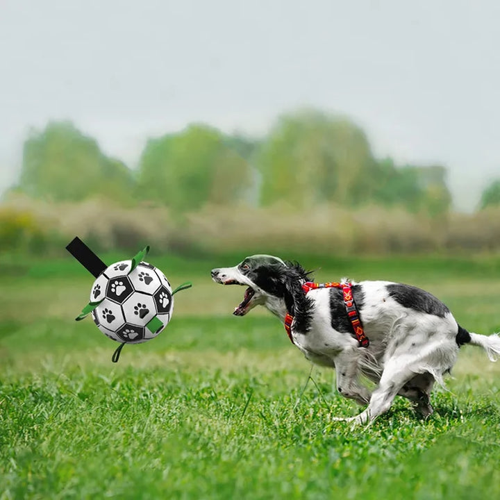 Muddy Paw Friends Interactive Soccer Toy for Dog-Plush Toys-Muddy Paw Shop-