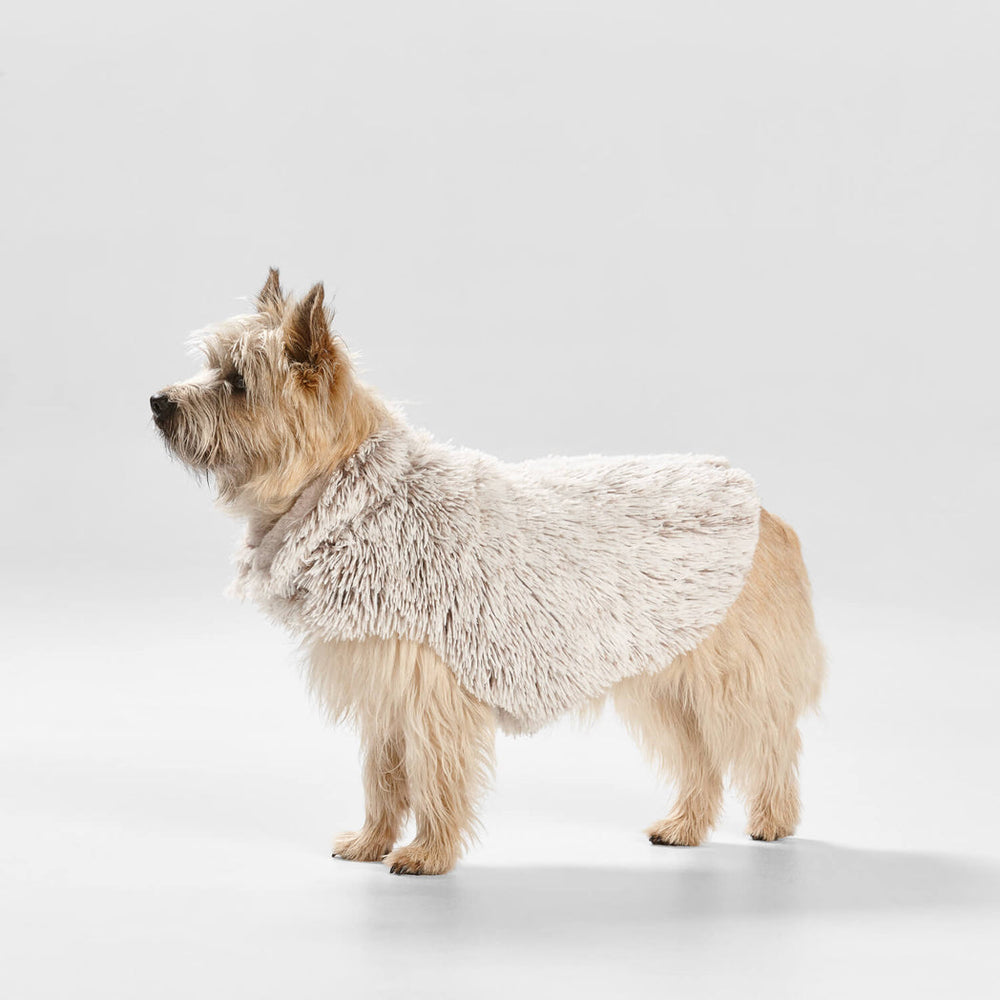 Snooza Wear Shag Faux Fur Dog Coat in Mink-Dog Clothing-Snooza-