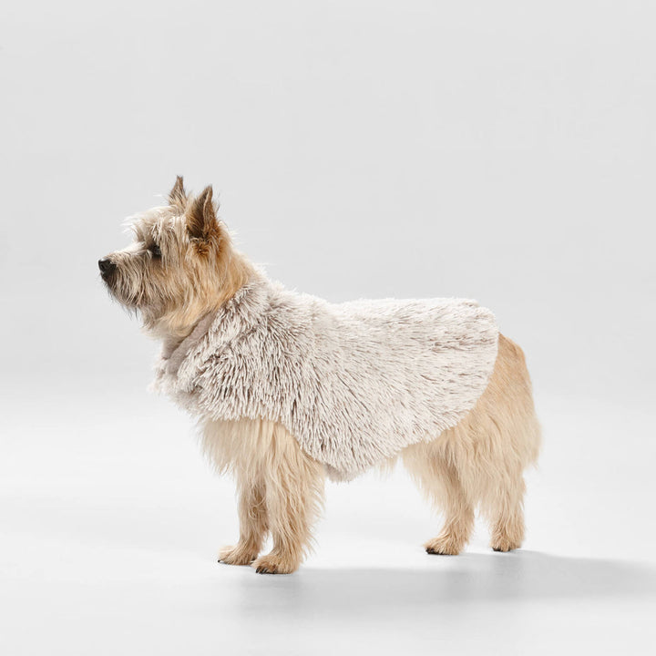 Snooza Wear Shag Faux Fur Dog Coat in Mink-Dog Clothing-Snooza-