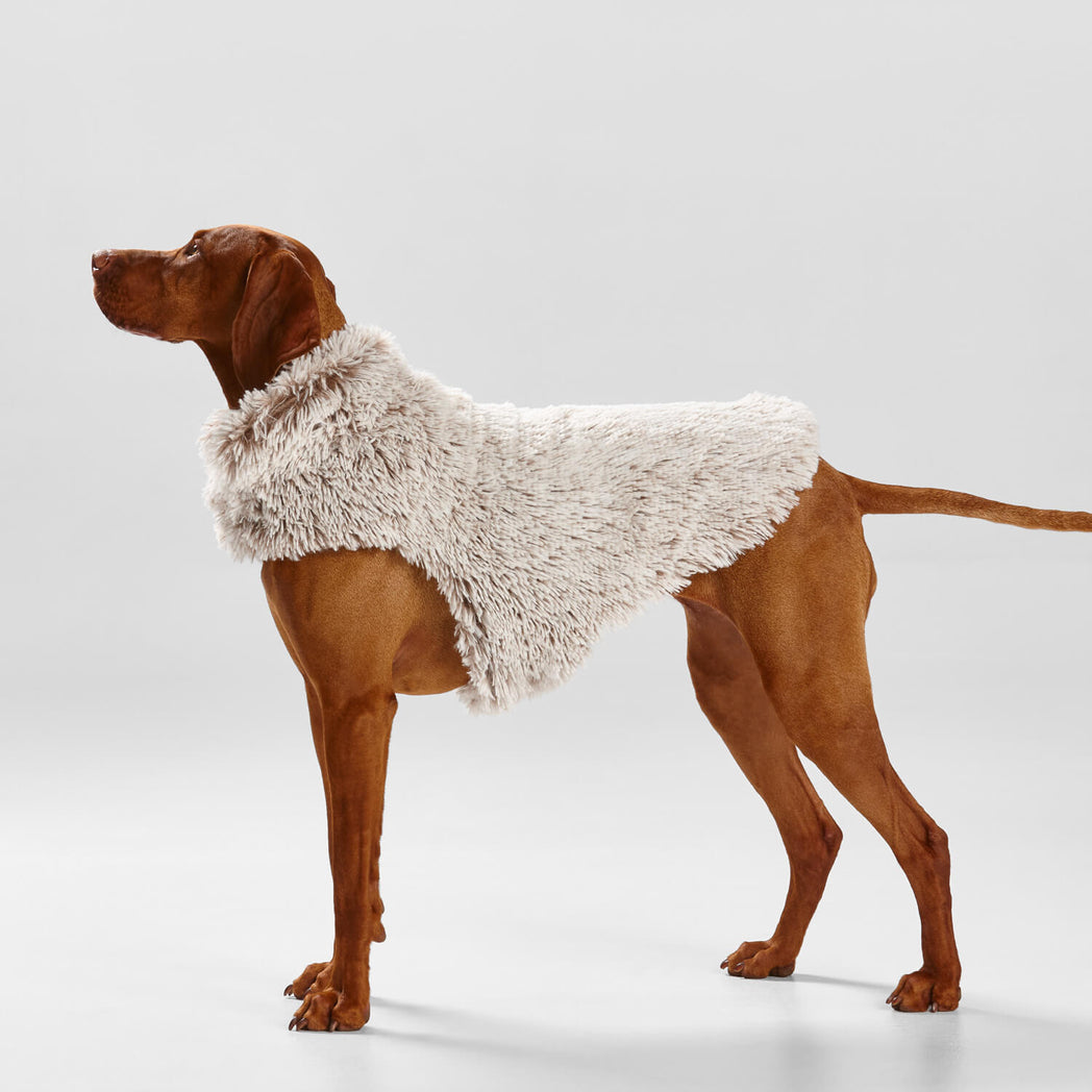 Snooza Wear Shag Faux Fur Dog Coat in Mink-Dog Clothing-Snooza-
