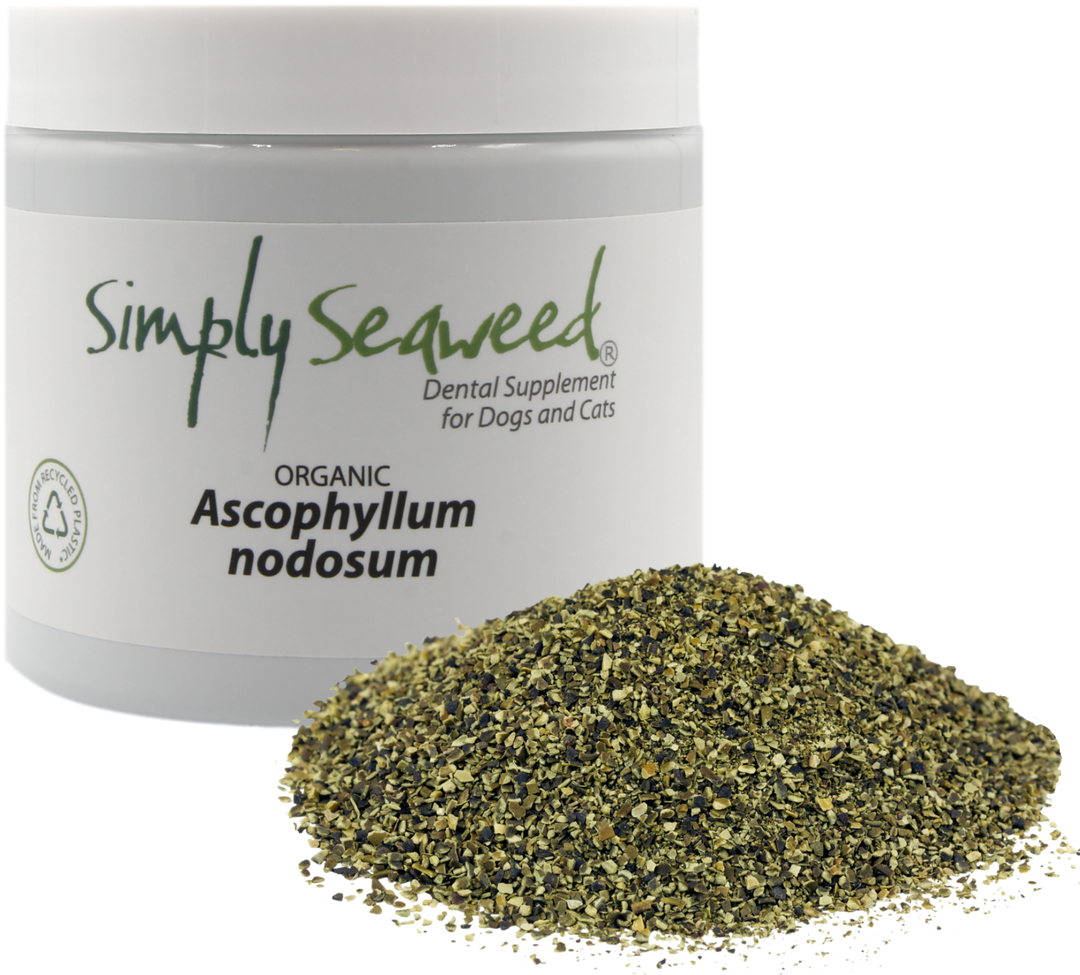 Simply-Seaweed-Organic-Pet-Dental