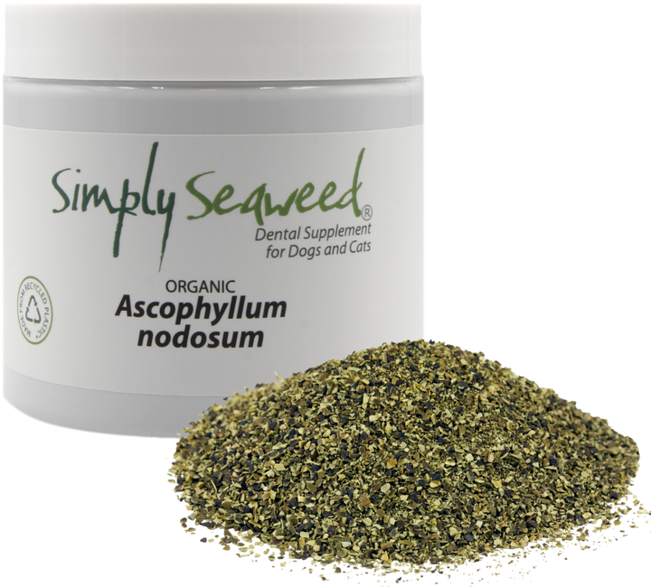 Simply-Seaweed-Organic-Pet-Dental