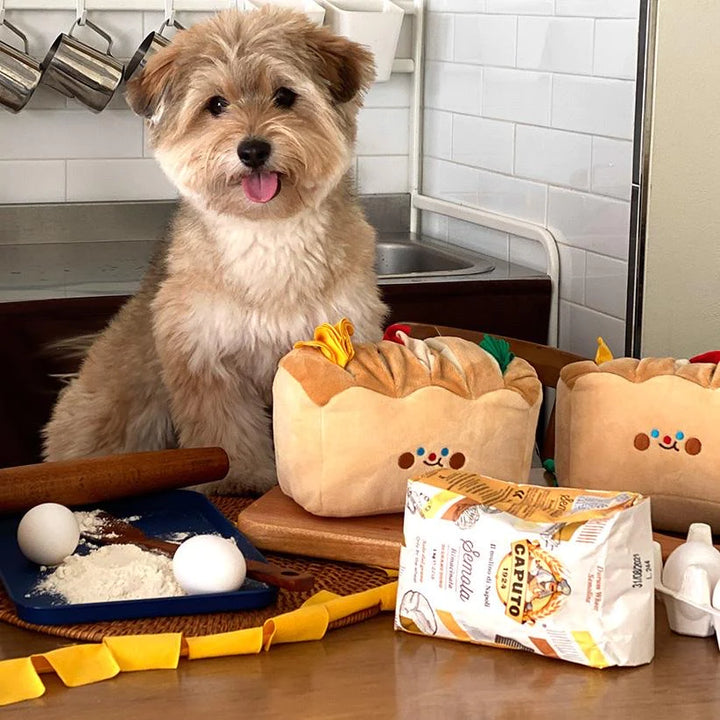 Boredom Buster Pet Toast Bread Interactive Toy for Dogs-Interactive Toy-Muddy Paw Shop-