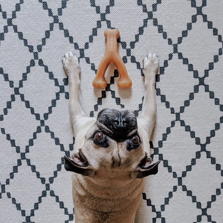 Benebone Chicken Wishbone Dental Chew Dog Toy-Dog Toys - Durable-Benebone-