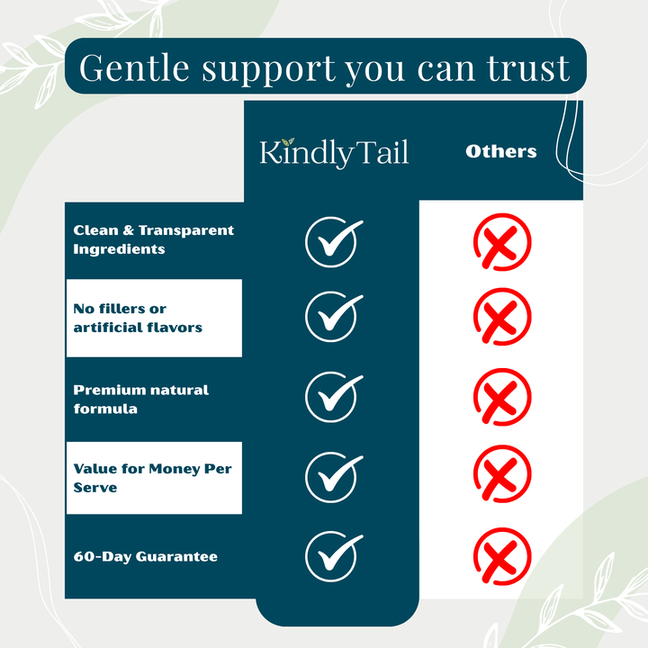Kindly Tail Quercetin with Bromelain for Dogs & Cats -- Allergy & Itch Support