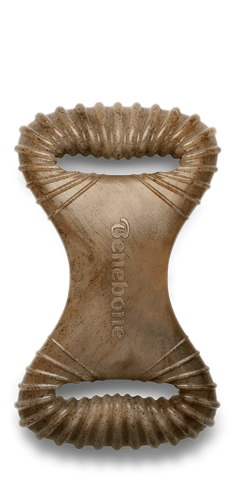 Benebone Bacon Dental Chew Dog Toy-Dog Toys - Durable-Benebone-Medium-
