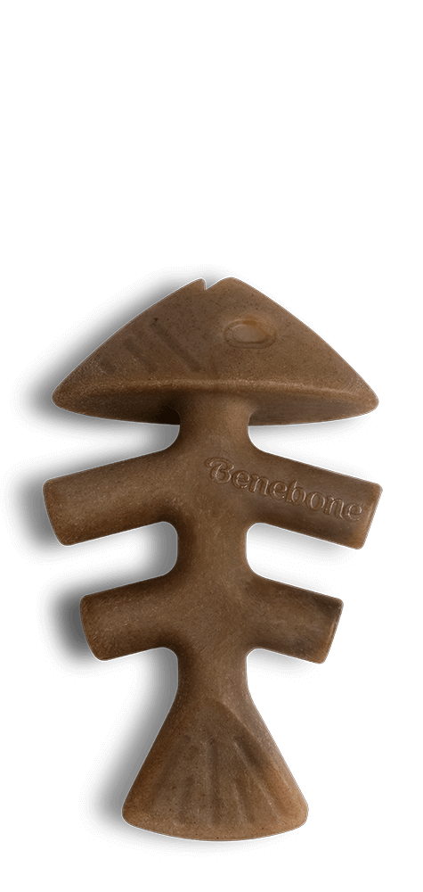 Benebone Jack Salmon Fishbone Dental Chew Dog Toy-Dog Toys - Durable-Benebone-Medium-