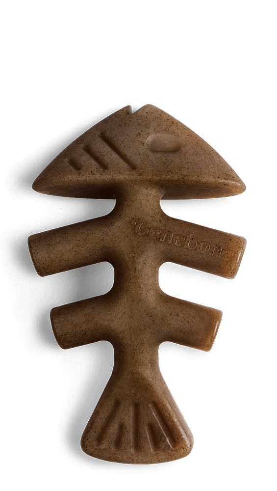 Benebone Jack Salmon Fishbone Dental Chew Dog Toy-Dog Toys - Durable-Benebone-Large-