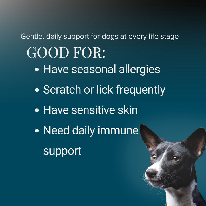 Kindly Tail Quercetin with Bromelain for Dogs & Cats -- Allergy & Itch Support