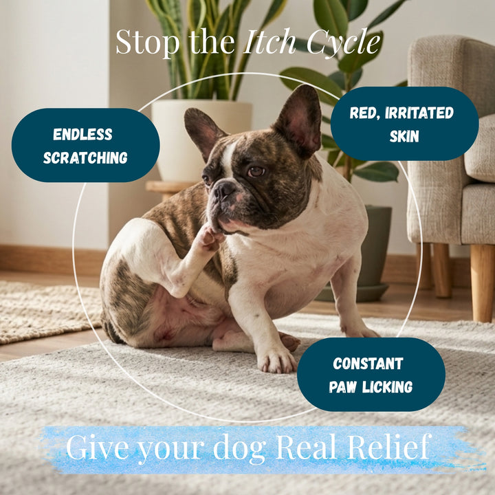 Kindly Tail Quercetin with Bromelain for Dogs & Cats -- Allergy & Itch Support
