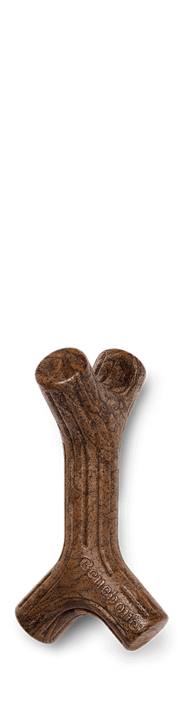 Benebone Bacon Stick Dental Chew Dog Toy-Dog Toys - Durable-Benebone-Small-