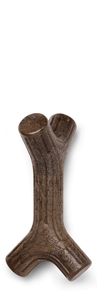 Benebone Bacon Stick Dental Chew Dog Toy-Dog Toys - Durable-Benebone-Medium-