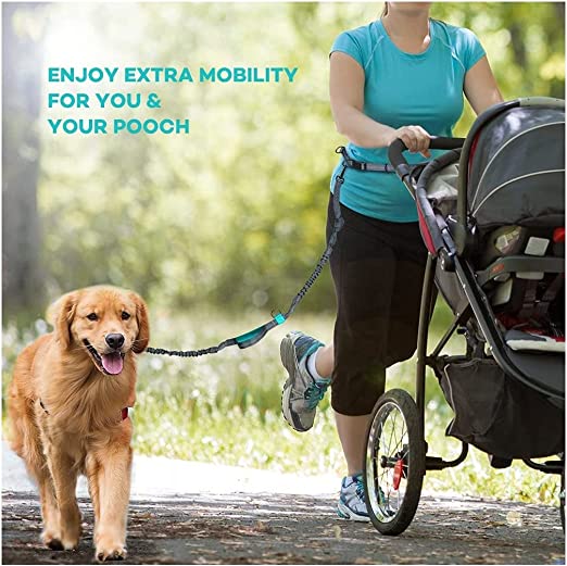 Dog Running Leash with Bungee Waist Belt, Retractable, Dual handle-Dog Lead-Muddy Paw Shop-