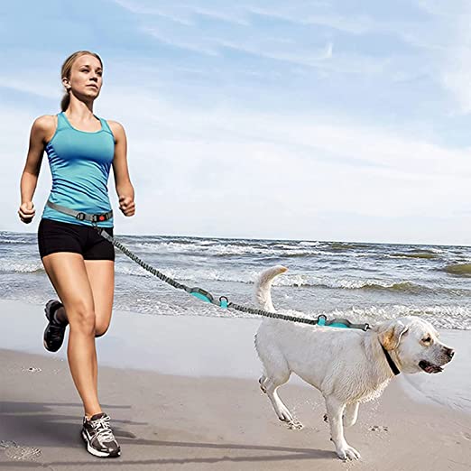Dog Running Leash with Bungee Waist Belt, Retractable, Dual handle-Dog Lead-Muddy Paw Shop-