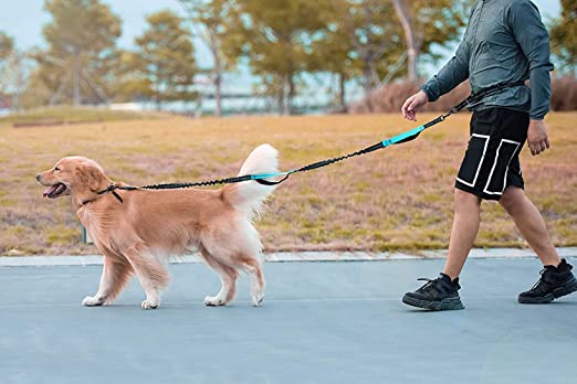 Dog Running Leash with Bungee Waist Belt, Retractable, Dual handle-Dog Lead-Muddy Paw Shop-