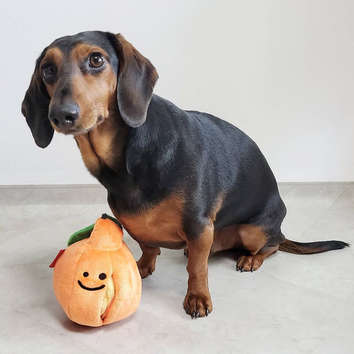 Boredom Buster Pet The Orange Sniff and Seek Interactive Toy for Dogs-Interactive Toy-Muddy Paw Shop-