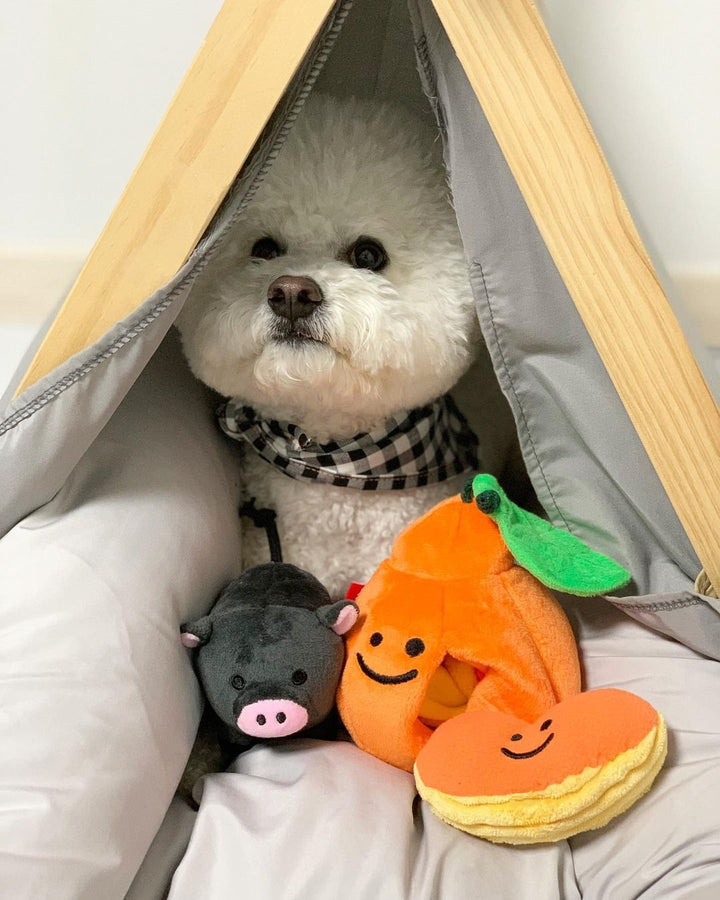 Boredom Buster Pet The Orange Sniff and Seek Interactive Toy for Dogs-Interactive Toy-Muddy Paw Shop-