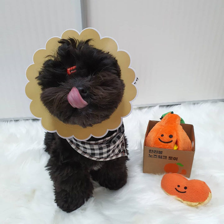 Boredom Buster Pet The Orange Sniff and Seek Interactive Toy for Dogs-Interactive Toy-Muddy Paw Shop-