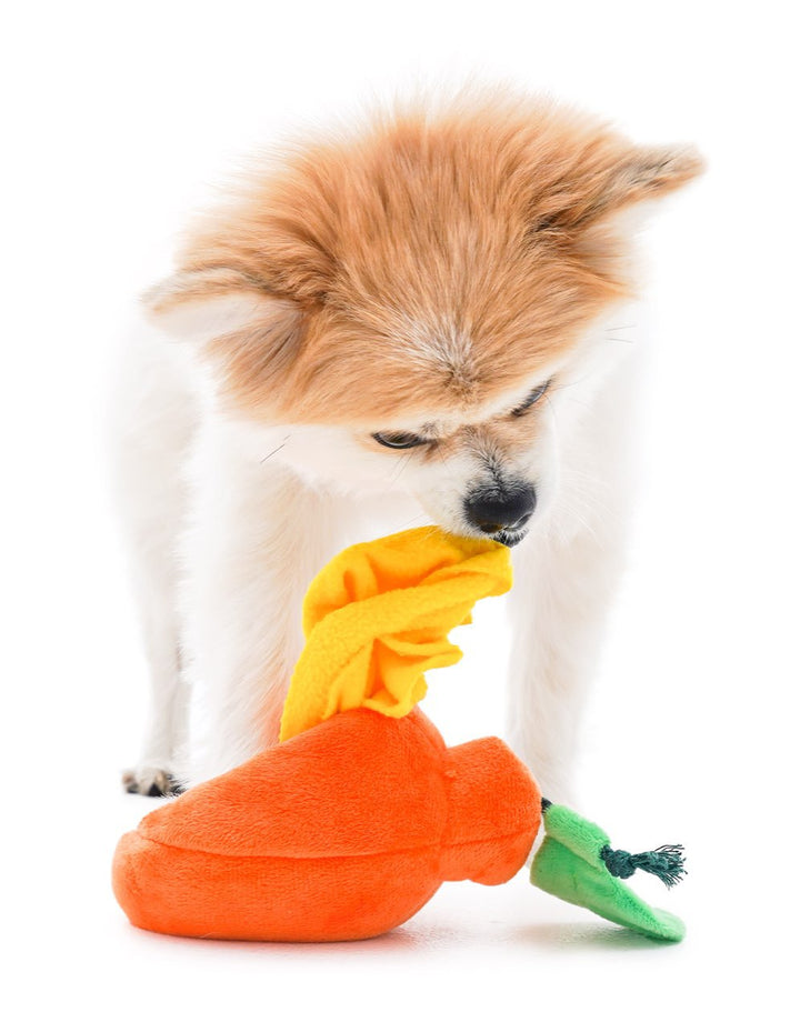 Boredom Buster Pet The Orange Sniff and Seek Interactive Toy for Dogs-Interactive Toy-Muddy Paw Shop-
