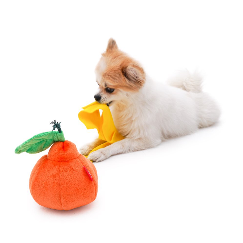 Boredom Buster Pet The Orange Sniff and Seek Interactive Toy for Dogs-Interactive Toy-Muddy Paw Shop-
