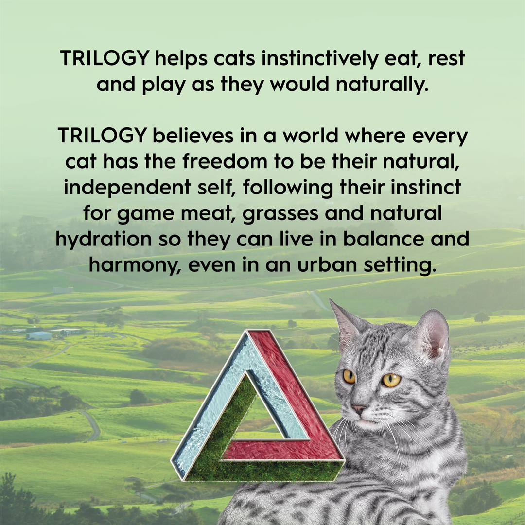 Trilogy Australian Cat Freeze Dried Treats – Lamb 50g-Cat Treats-Trilogy-