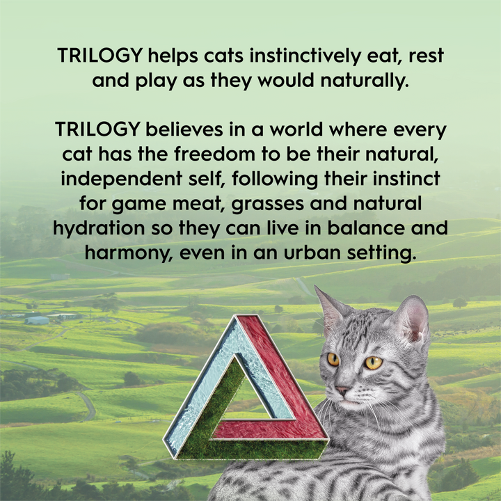 Trilogy Australian Cat Freeze Dried Treats – Lamb 50g-Cat Treats-Trilogy-