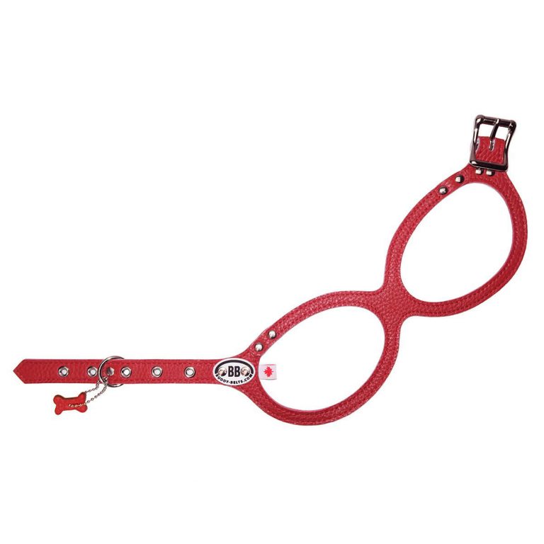Buddy Belts (BB) Leather Harness – Premium – Red-Pet Collars & Harnesses-Buddy Belts-