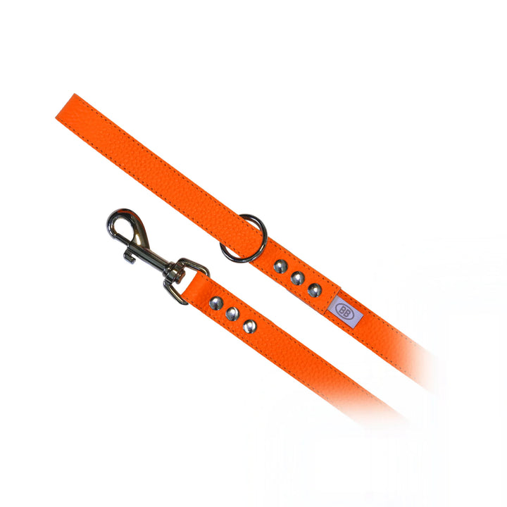 Buddy Belts (BB) All Leather Leashes – Luxury - Fireball-Dog Leashes-Buddy Belts-Large Size for Harness sizes 5+-