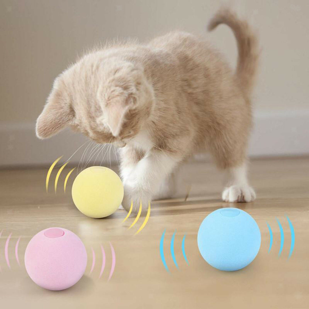 Interactive Cat Toy Chirping Ball with Catnip box of 3Pcs-Cat Toys-Petgravity-