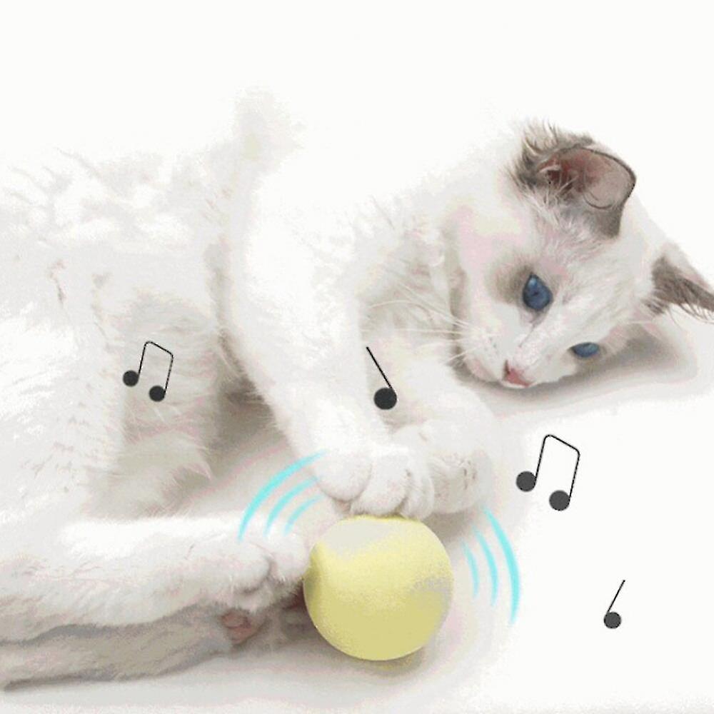 Interactive Cat Toy Chirping Ball with Catnip box of 3Pcs-Cat Toys-Petgravity-